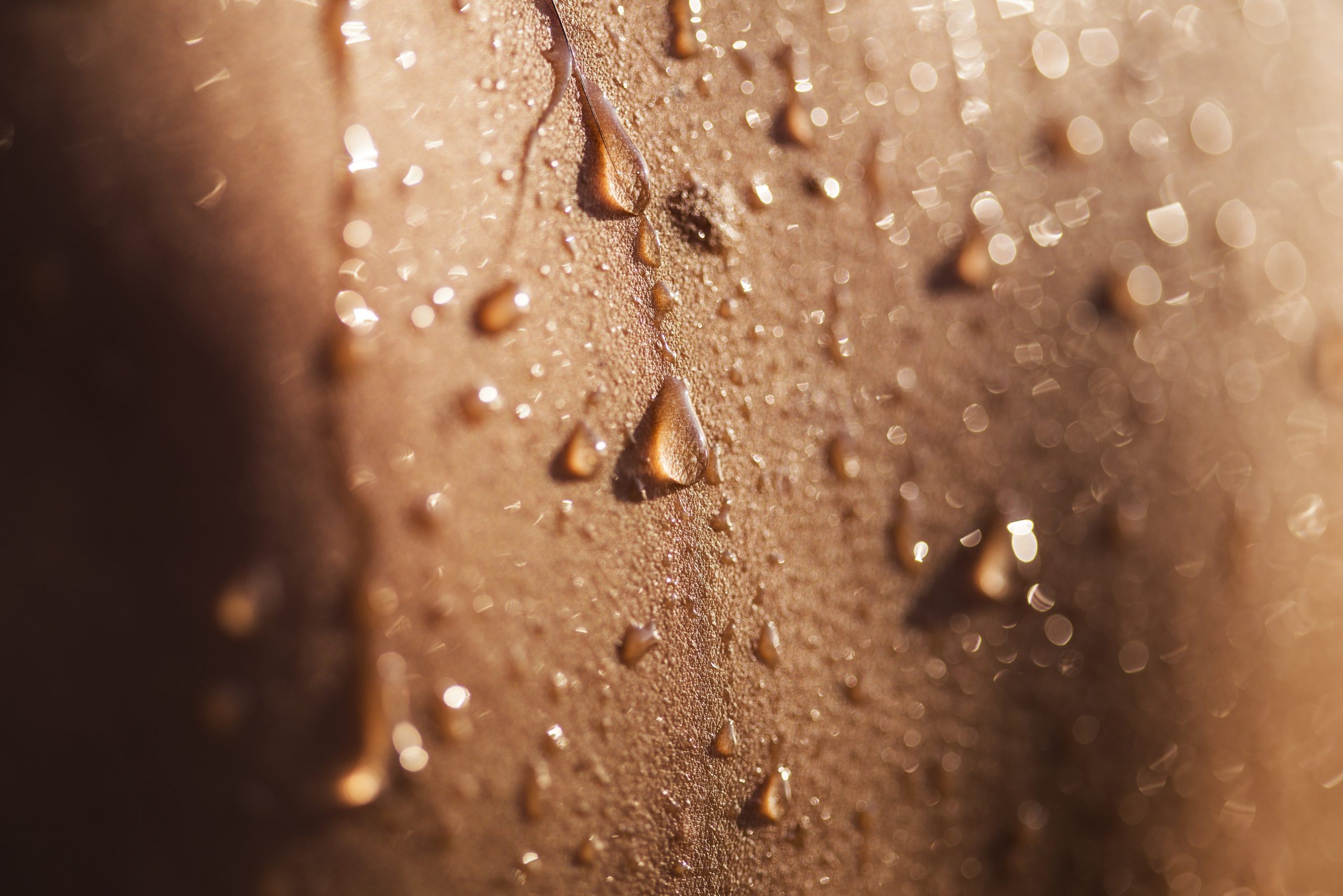 Skin Hydration