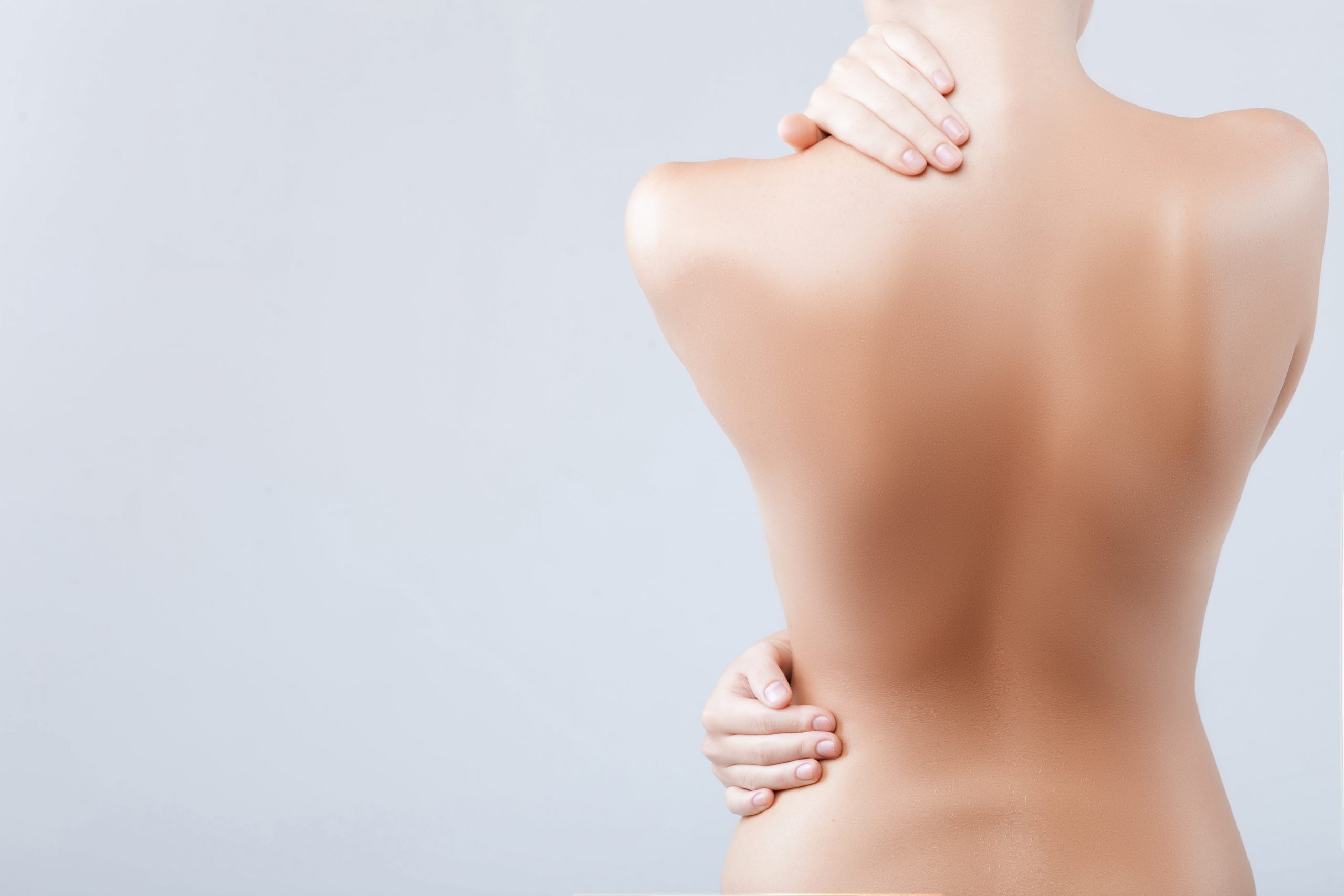 Skin Sensory Organ