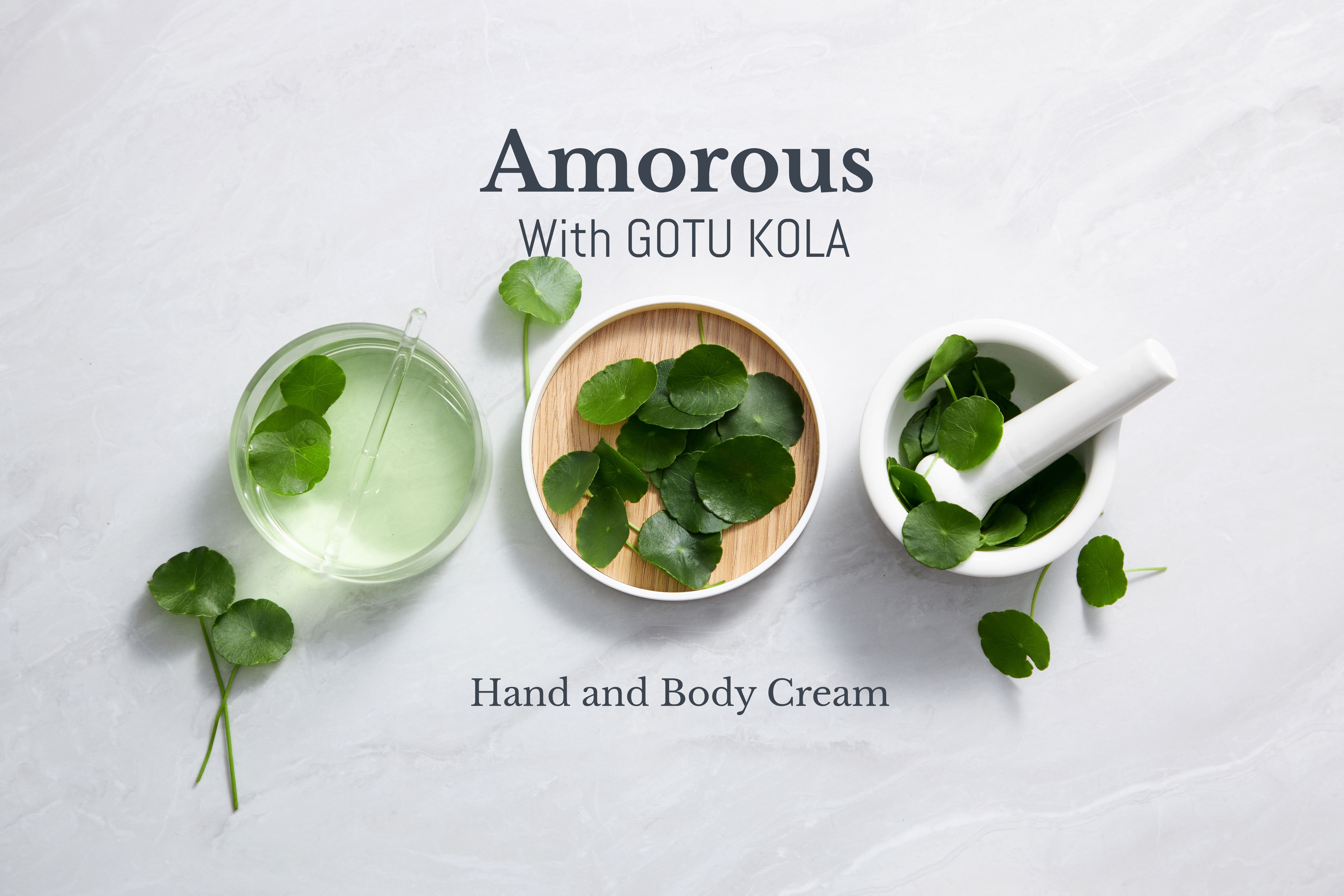 Gotu Kola